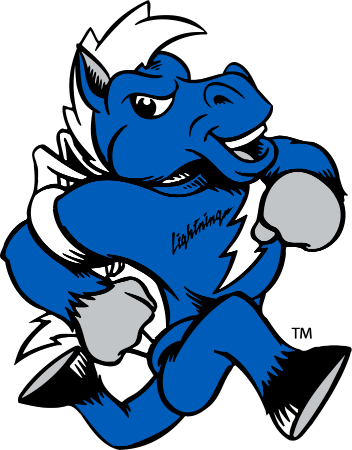 Middle Tennessee Blue Raiders 2015-Pres Mascot Logo diy DTF decal sticker